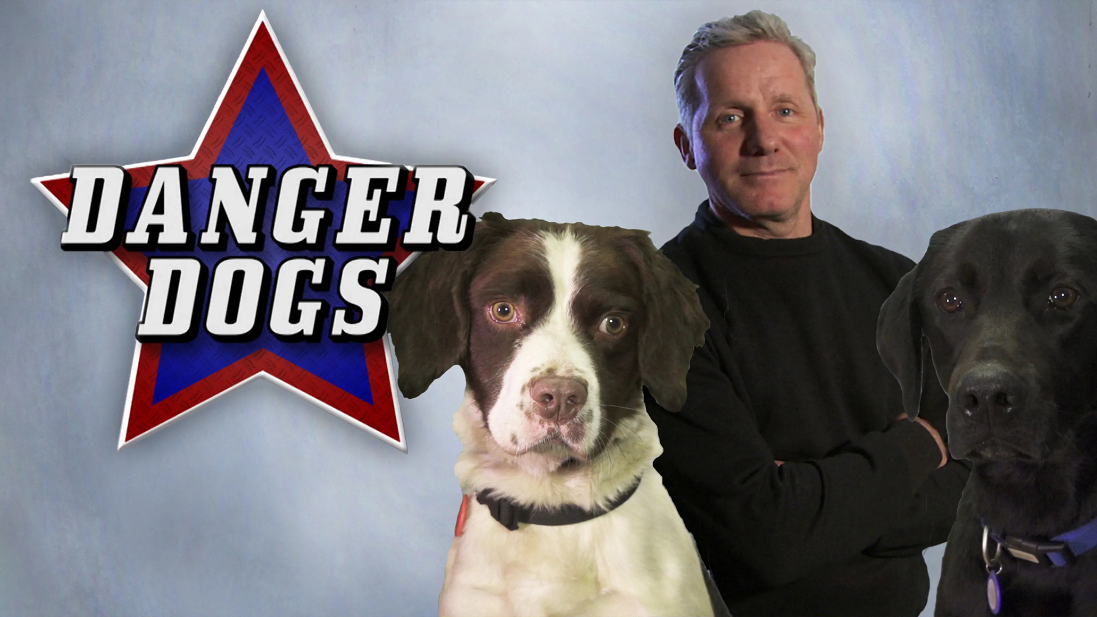 Danger Dogs poster